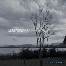 Album cover of Live Quarentena (Ao Vivo)