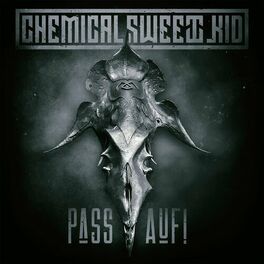 Album cover of Pass auf!