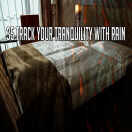 Album cover of 35 Track Your Tranquility with Rain