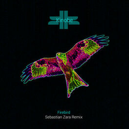 Album cover of Firebird (Sebastian Zara Remix)