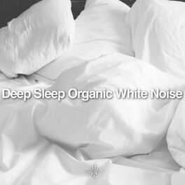 Album cover of Loopable Deep Sleep Organic White Noise