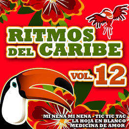 Album cover of Ritmos del Caribe Vol.12