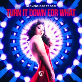Album cover of Turn It Down for What