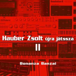 Album cover of Hauber Zsolt újra játssza 2. rész