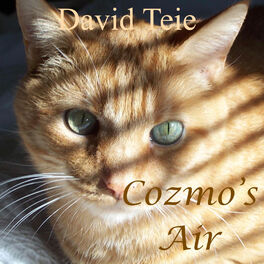 Album cover of Cozmo's Air