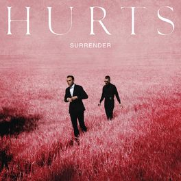 Album cover of Surrender (Deluxe)