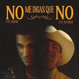 Album cover of No Me Digas Que No (Remix)