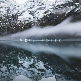 Album cover of Veil Noise
