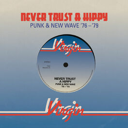 Album cover of Never Trust A Hippy (Punk & New Wave '76 - '79)