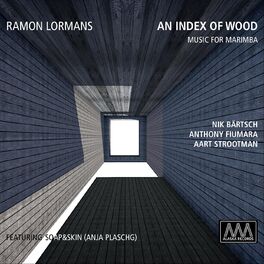 Album cover of An Index of Wood