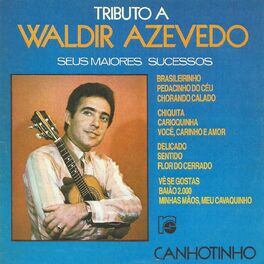 Album cover of Tributo a Waldir Azevedo: Seus Maiores Sucessos
