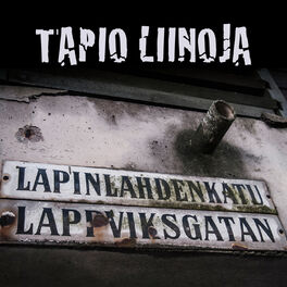 Tapio Liinoja - Ojasta noustaan II: lyrics and songs | Deezer