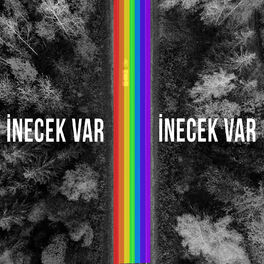 Album cover of İnecek Var