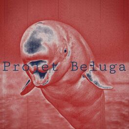 Beluga: álbuns, músicas, playlists