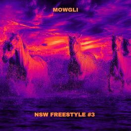 Album cover of NSW FREESTYLE #3