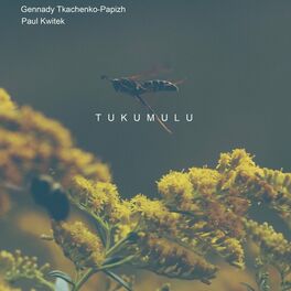 Album cover of Tukumulu