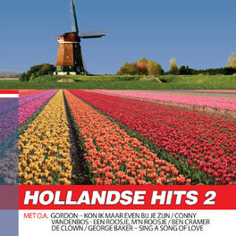 Album cover of Hollands Hits 2 Hollands Glorie