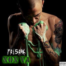 Album picture of Non Va
