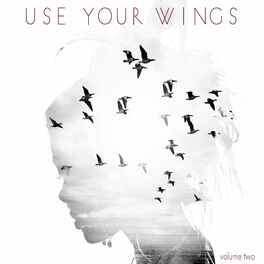 Album cover of Use Your Wings, Vol. 2