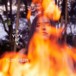 Album cover of Tüzet viszek