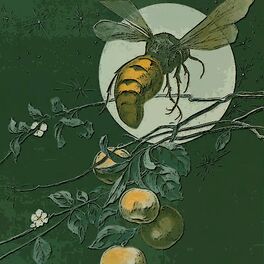 Album cover of The Apple Tree and the Bumble Bee