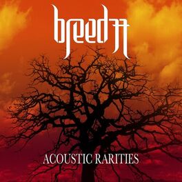 Album cover of Acoustic Rarities