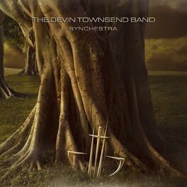 Album cover of Synchestra
