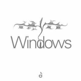 Album cover of Windows (No Rome Remix)