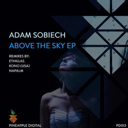 Album cover of Above the Sky