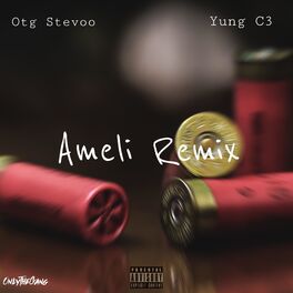 Album cover of Ameli (feat. $werve)