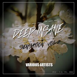 Album cover of Deep Insane Sensation, Vol. 2
