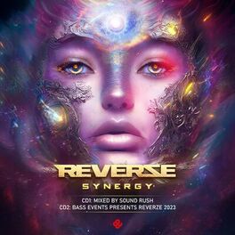 Album cover of Reverze 2023 Synergy