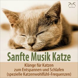 Album cover of Sanfte Musik Katze - Klänge für Katzen zum Entspannen und Schlafen (spezielle Katzenwohlfühl-Frequenzen)