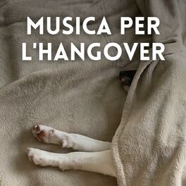 Album cover of Musica per l'Hangover