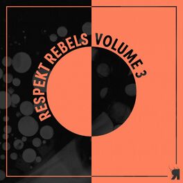 Album cover of Respekt Rebels Vol.3