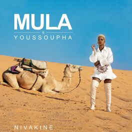 Album cover of Nivakine (feat. Youssoupha)