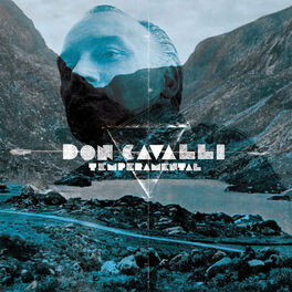 Album cover of Temperamental