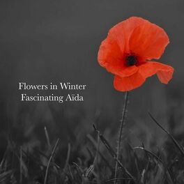 Album cover of Flowers in Winter