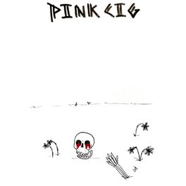 Album cover of Hectic Mess