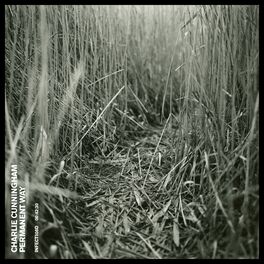 Album cover of Permanent Way