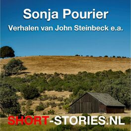 Album cover of Verhalen van John Steinbeck e.a. (Onverkort)