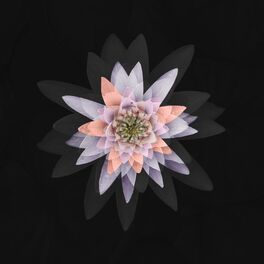 Album cover of Dakini (God's Eye Mix) (feat. Sunspot Jonz, Tajai & Phesto, Souls Of Mischief & Butch Swim)