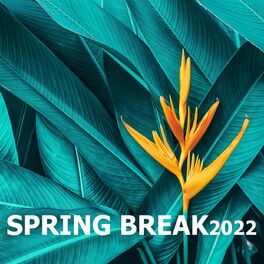 Album cover of SPRING BREAK 2022