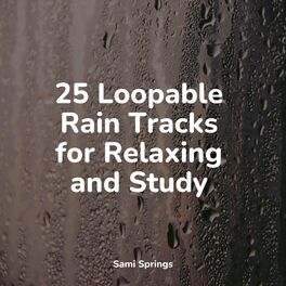 Album cover of 25 Loopable Rain Tracks for Relaxing and Study