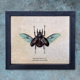 Album cover of Insectenleven Instrumentals