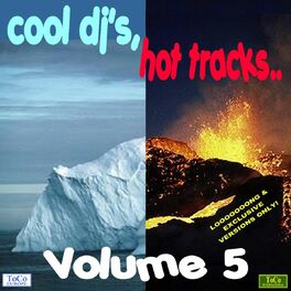 Album cover of Cool dj's, hot tracks - vol. 5