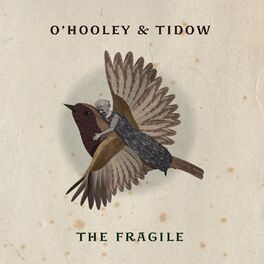 Album cover of The Fragile