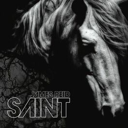Album cover of Saint