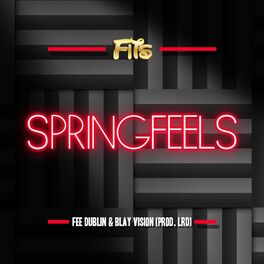 Album cover of Springfeels (feat. Fee Dublin & Blay Vision)
