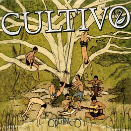 Album cover of Orgânico 1